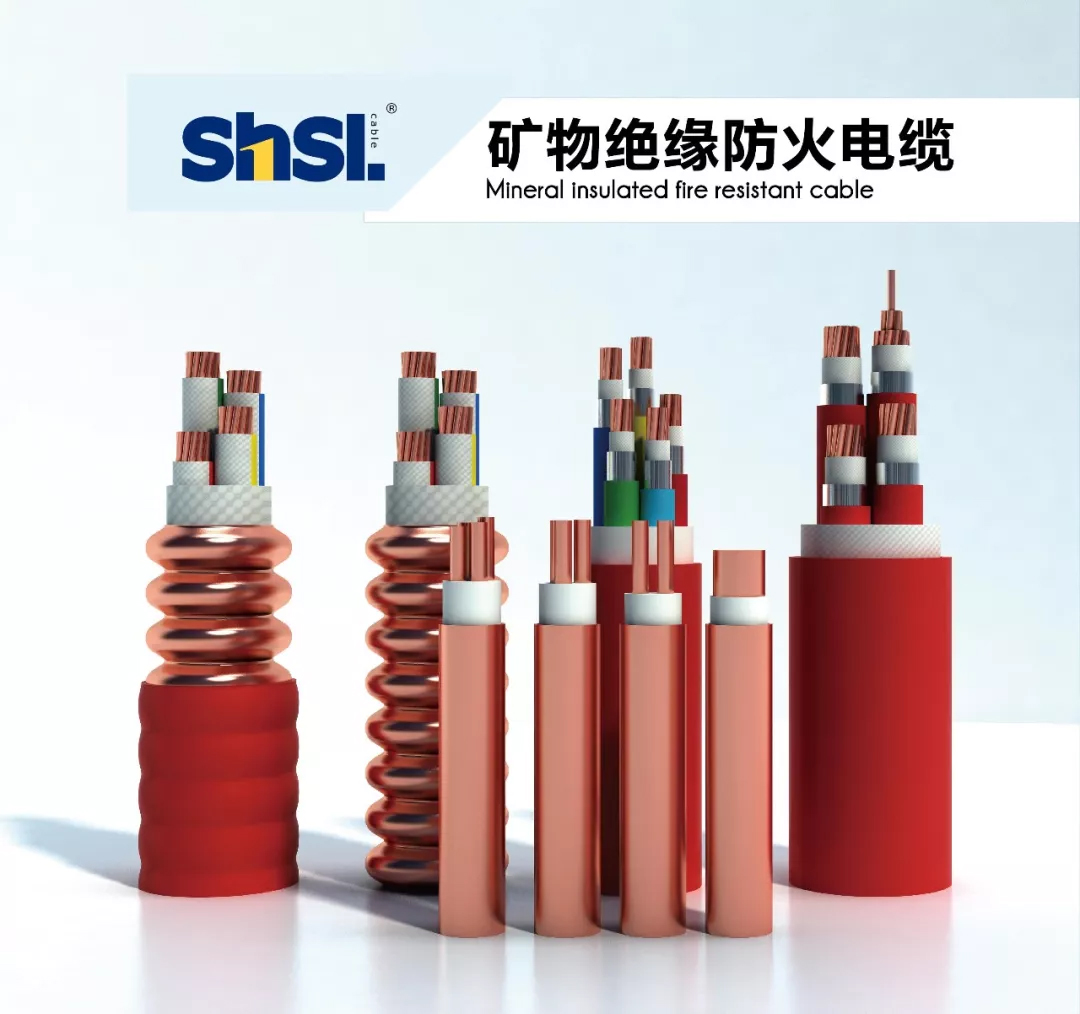 1570502409677052.jpg 區政協主席陳勇章一行蒞臨上海浦東電線電纜集團2.jpg